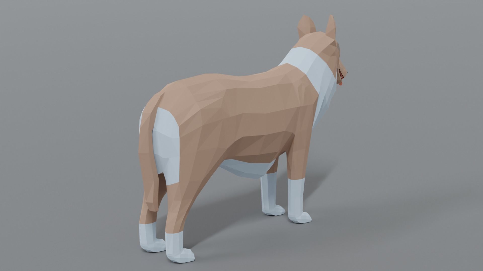Low Poly Cartoon Rough Collie Dog Low-poly 3D model_4