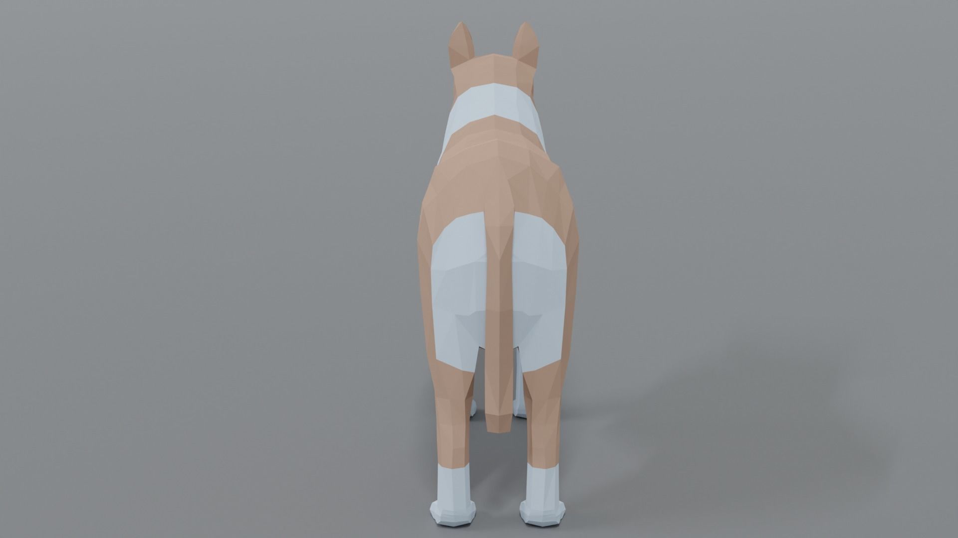 Low Poly Cartoon Rough Collie Dog Low-poly 3D model_3