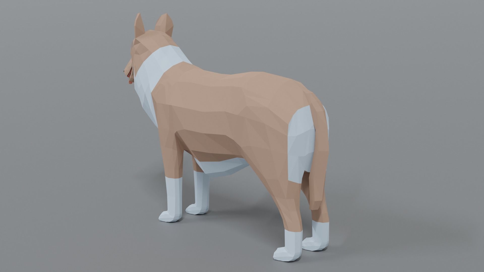 Low Poly Cartoon Rough Collie Dog Low-poly 3D model_2