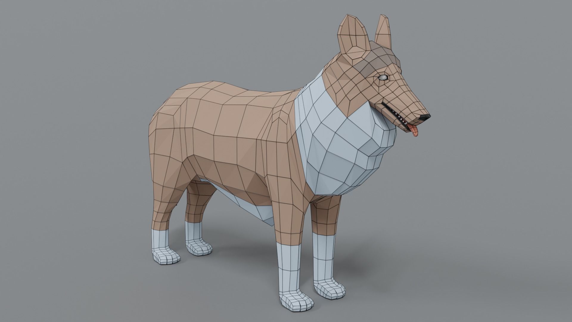 Low Poly Cartoon Rough Collie Dog Low-poly 3D model_15
