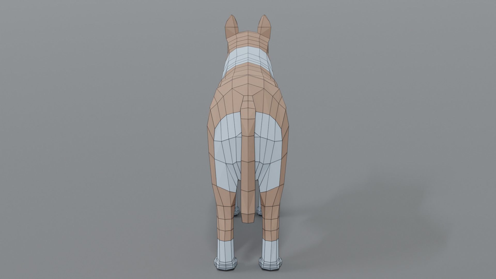 Low Poly Cartoon Rough Collie Dog Low-poly 3D model_12
