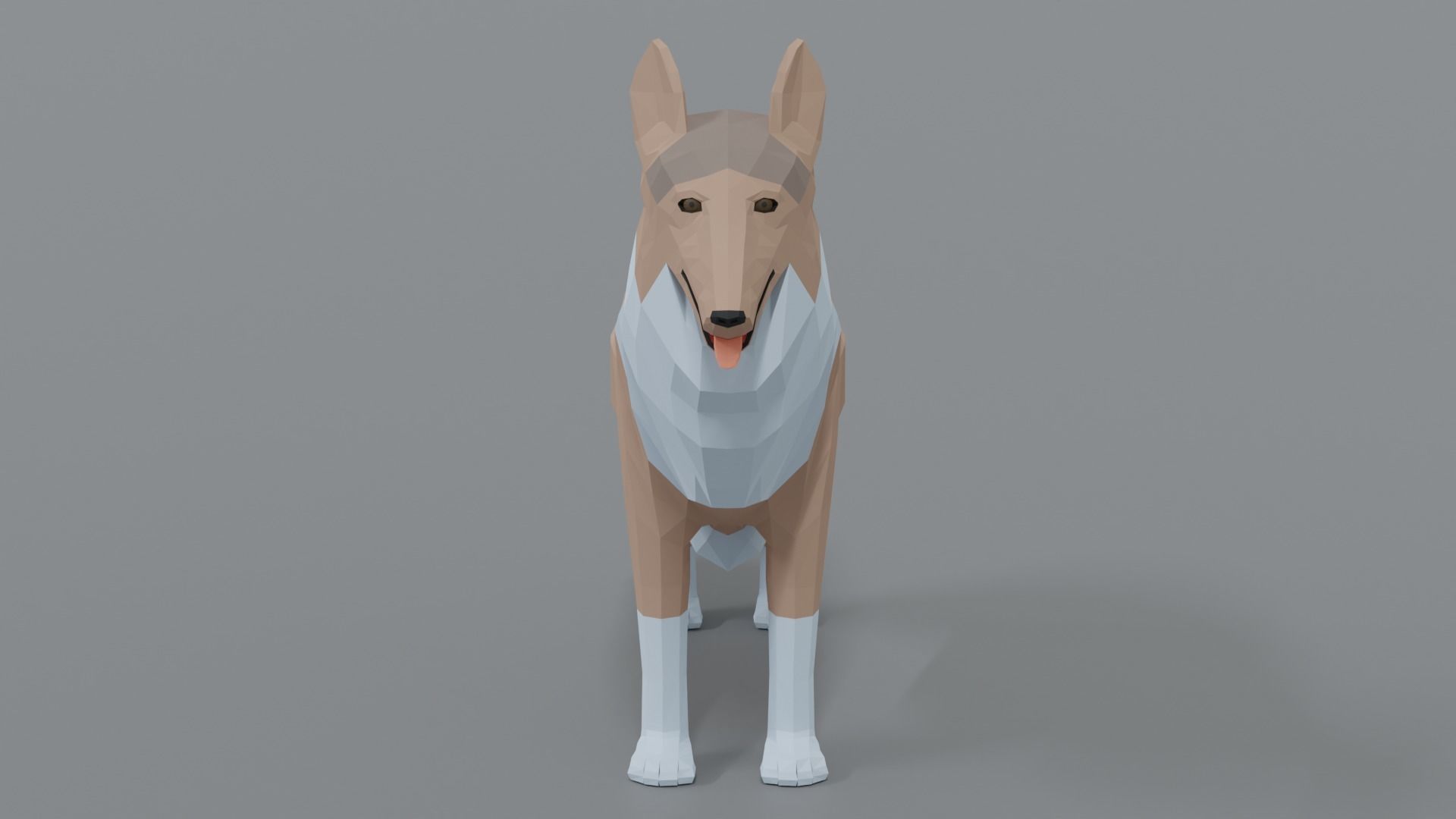 Low Poly Cartoon Rough Collie Dog Low-poly 3D model_7