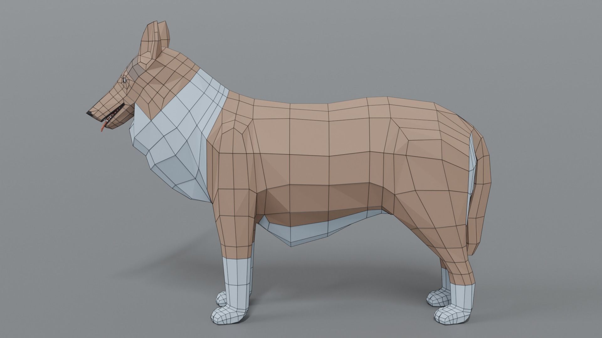 Low Poly Cartoon Rough Collie Dog Low-poly 3D model_10