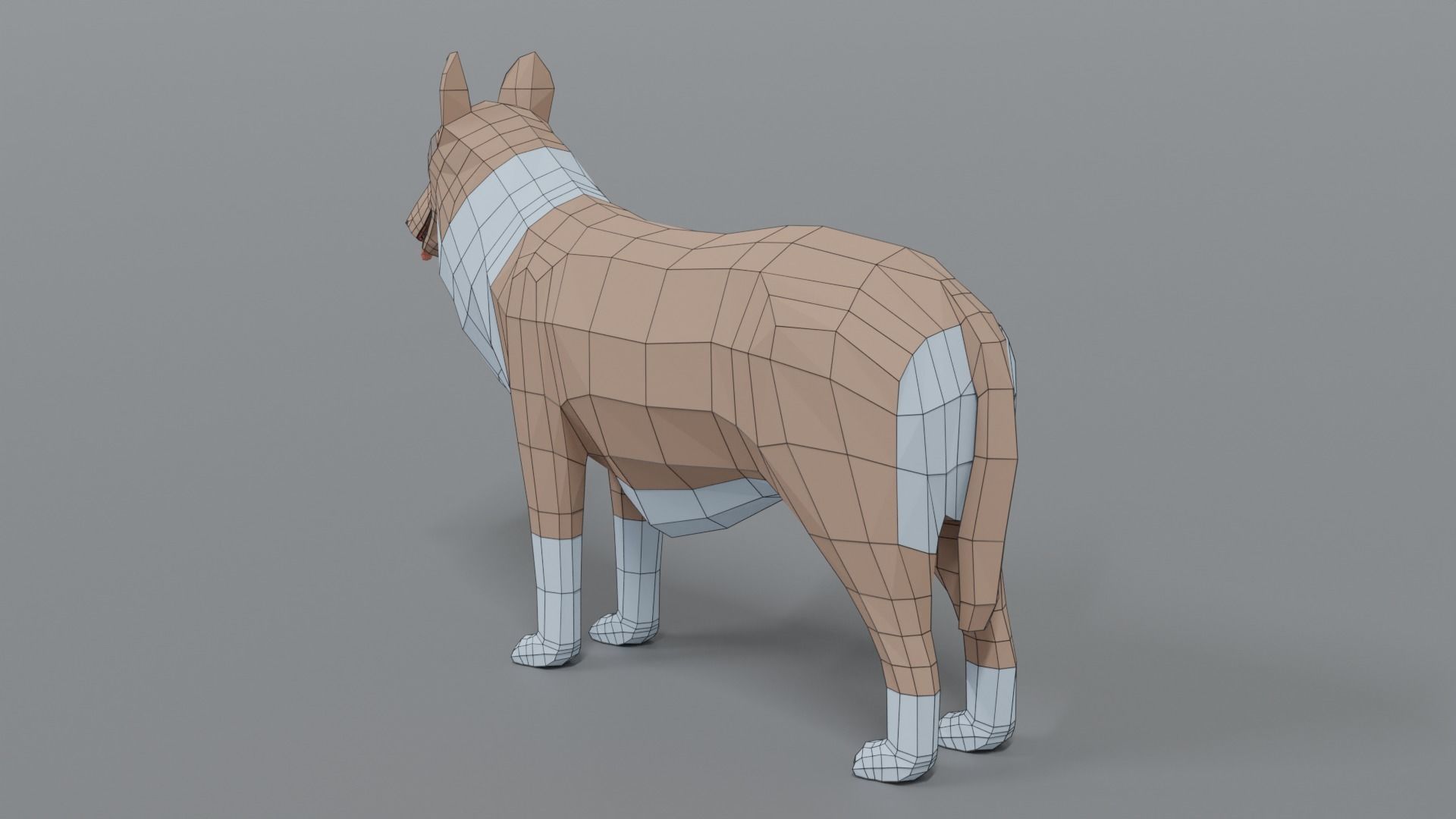 Low Poly Cartoon Rough Collie Dog Low-poly 3D model_11