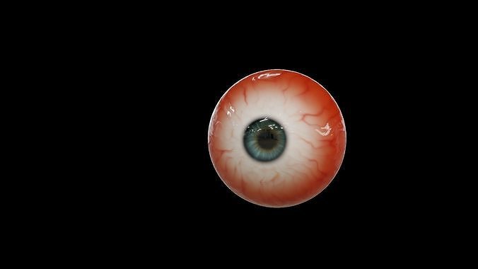 a high resolution eye  3D model
