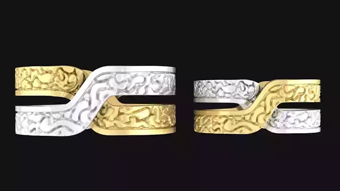RING X two gold and silver rings