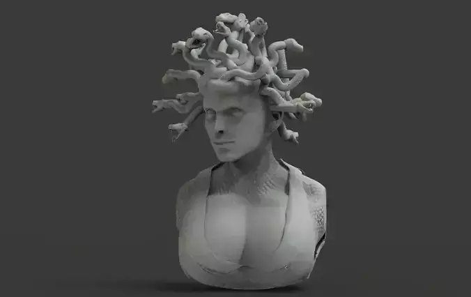 Medussa Bust