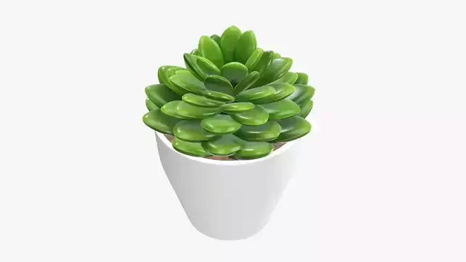 Cactus composition artificial 02