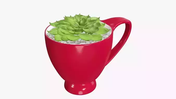 Plant in cup decorative