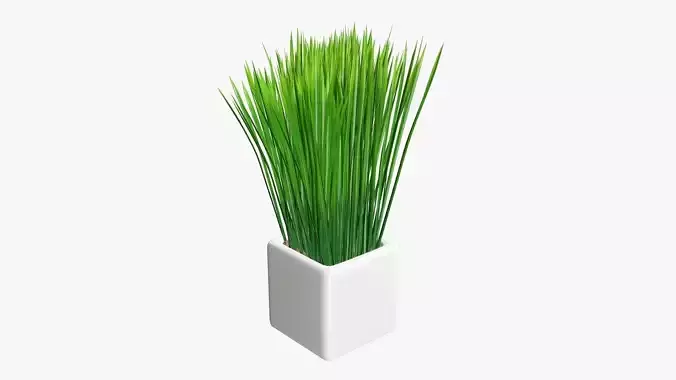 Long grass potted decorative  
