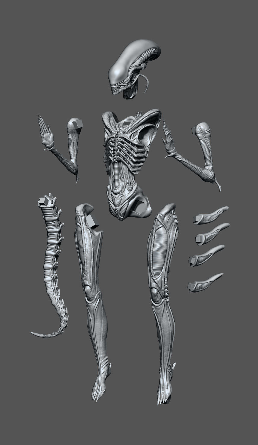 Alien Xenomorph 3D model ready for printing 3D print model_6