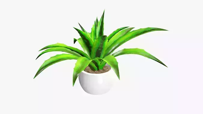 Potted plant decorative 04