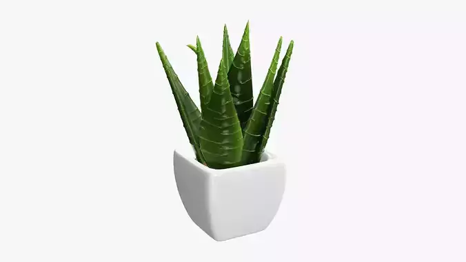 Potted plant decorative 05 3D model