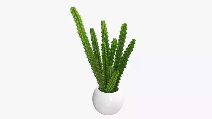 Potted plant decorative 07