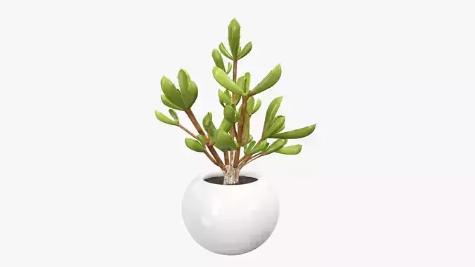 Potted plant decorative 08 3D model