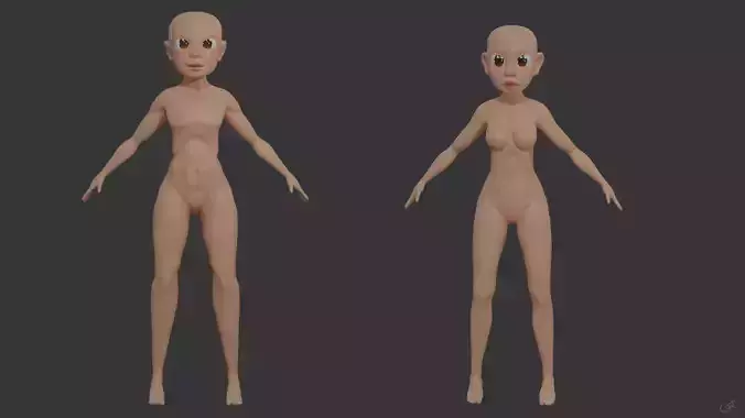 Body Male - Female Low-poly 3D model