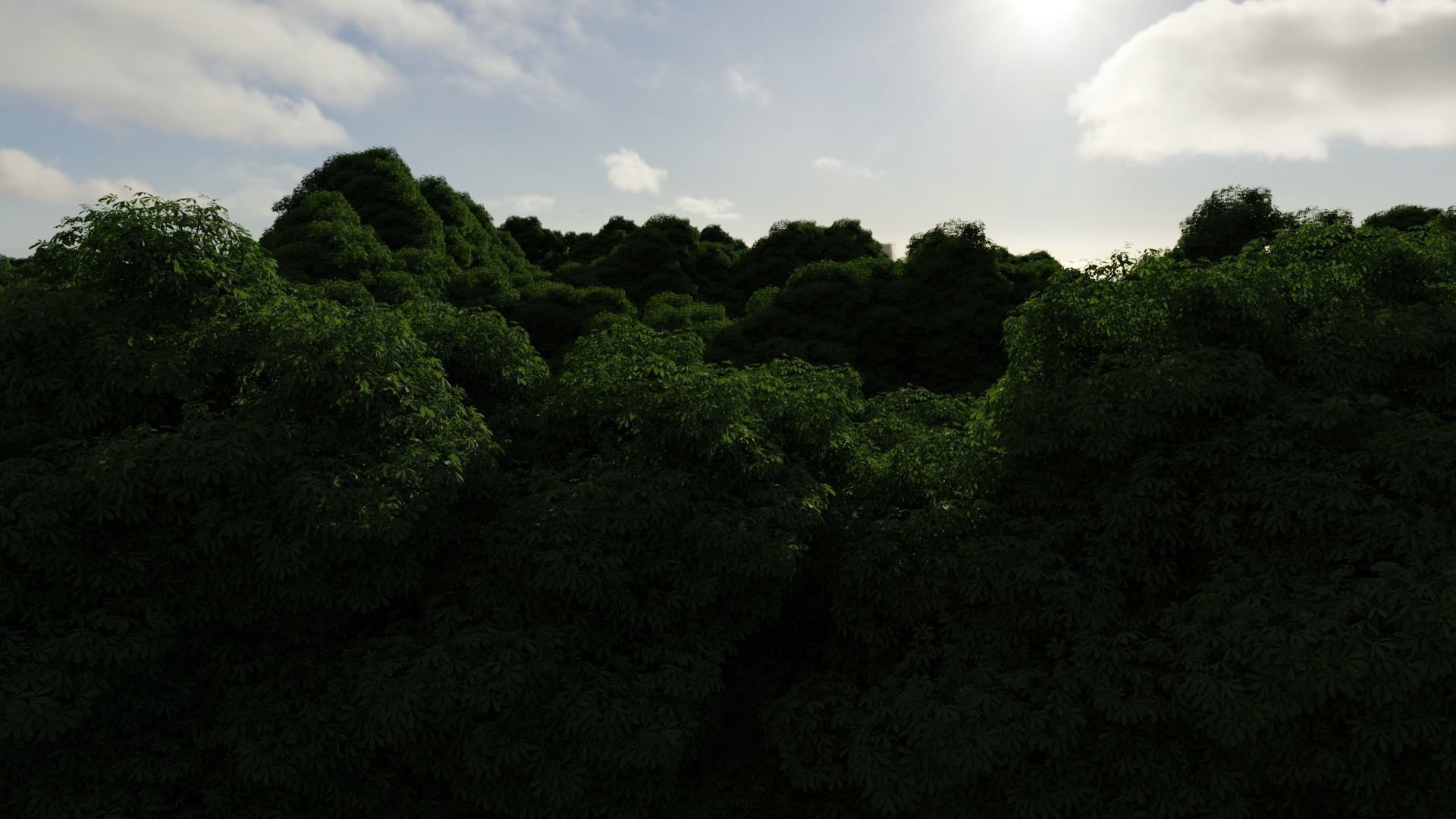 Forest Low-poly 3D model_1