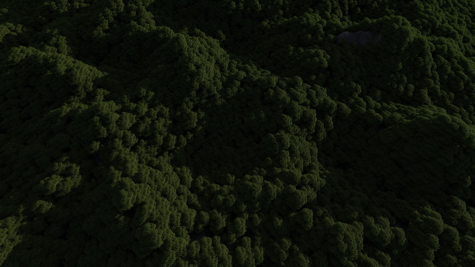 Forest Low-poly 3D model_2