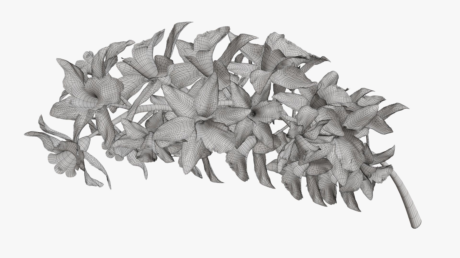 Branch with flowers orchid 3D model_6