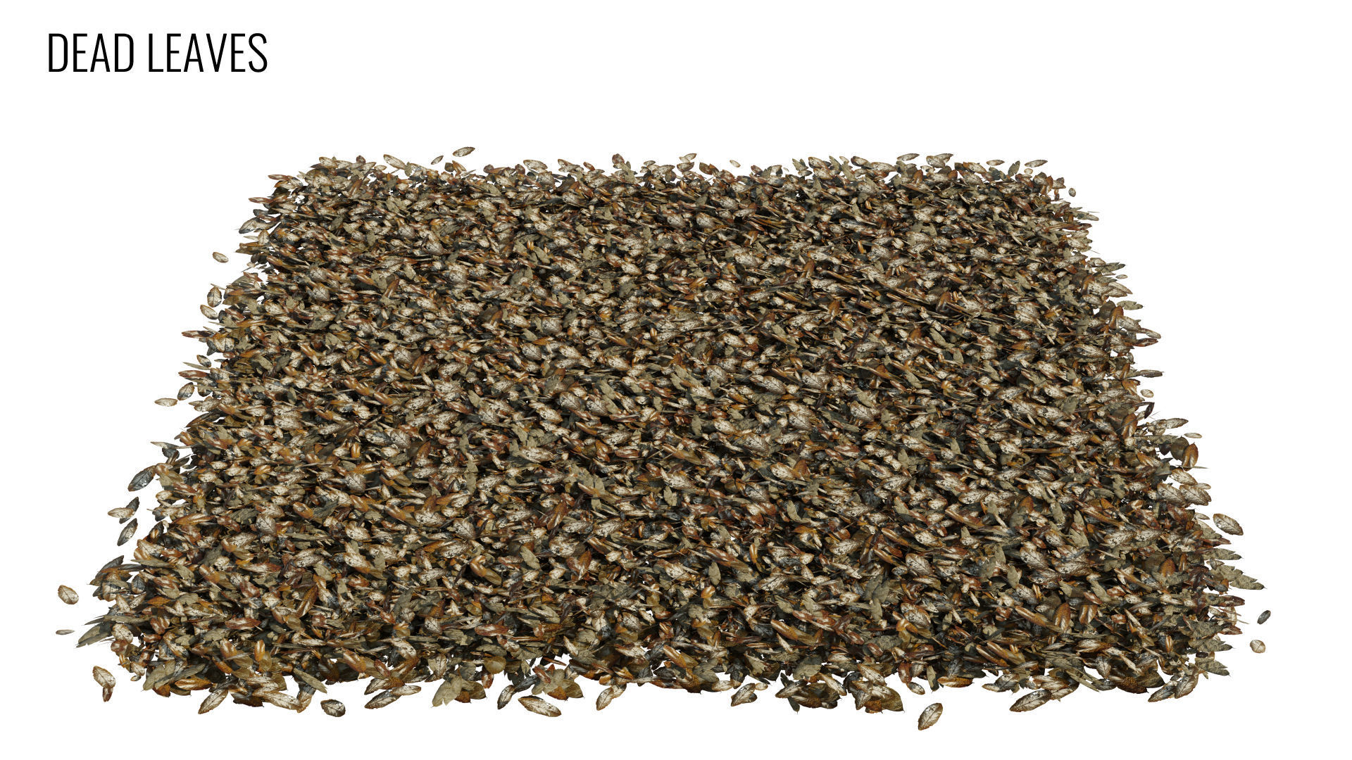 Grass4Game 2 grass mat - bamgrass Low-poly 3D model_6