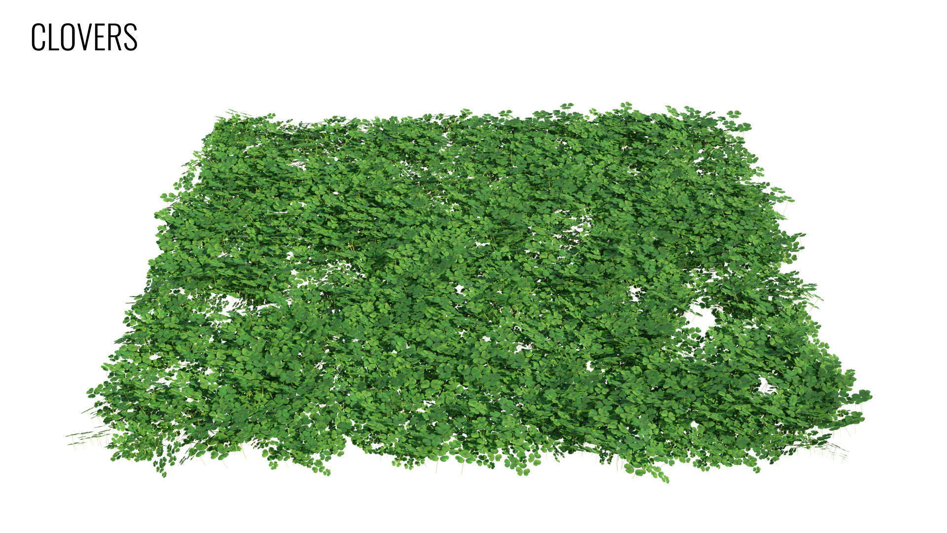 Grass4Game 2 grass mat - bamgrass Low-poly 3D model_5