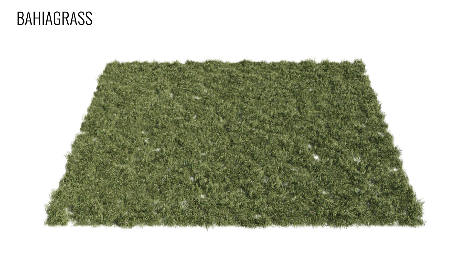 Grass4Game 2 grass mat - bamgrass Low-poly 3D model_3
