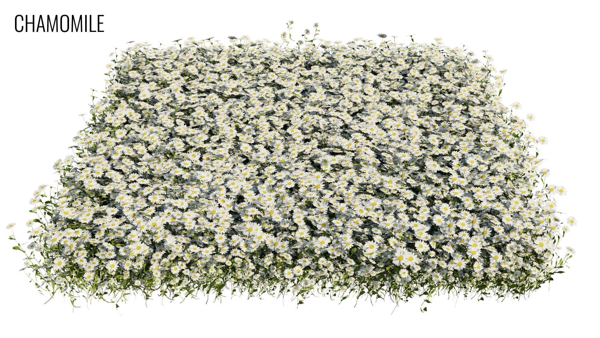 Grass4Game 2 grass mat - bamgrass Low-poly 3D model_4