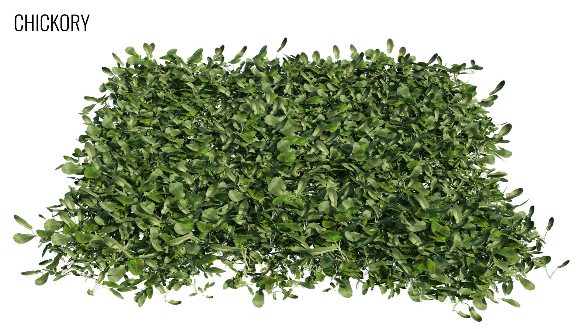 Grass4Game 2 grass mat - bamgrass Low-poly 3D model_2