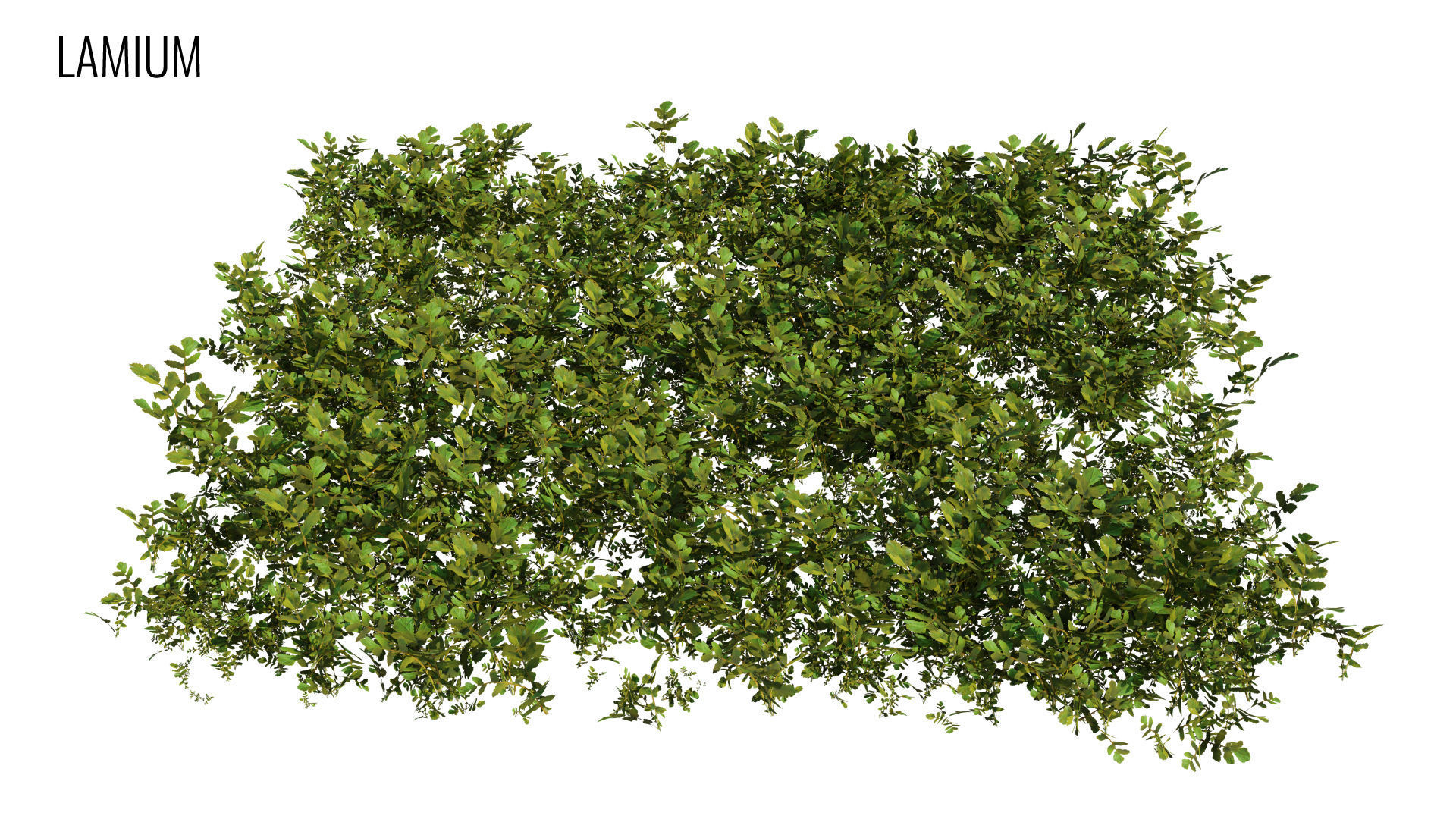 Grass4Game 2 grass mat - bamgrass Low-poly 3D model_9