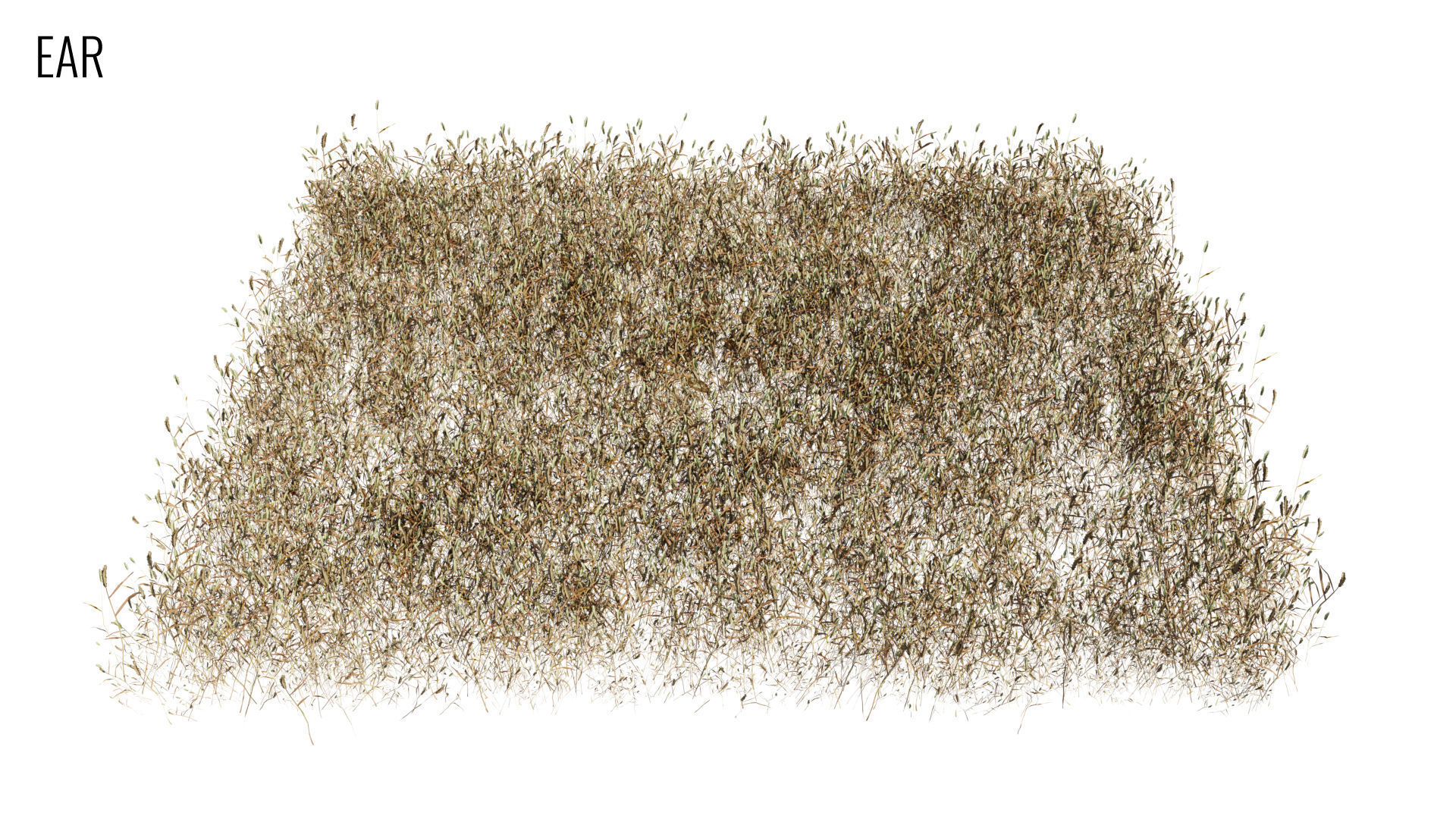 Grass4Game 2 grass mat - bamgrass Low-poly 3D model_7