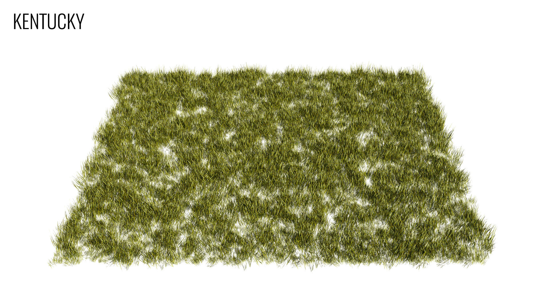 Grass4Game 2 grass mat - bamgrass Low-poly 3D model_8