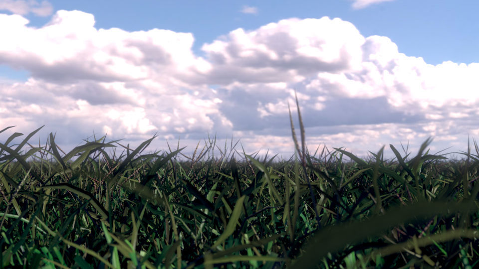Grass4Game 2 grass mat - bamgrass Low-poly 3D model_10