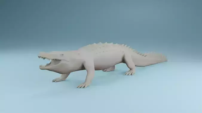 Crocodile Mugger 3d model