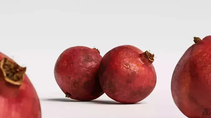 Pomegranate 3D model