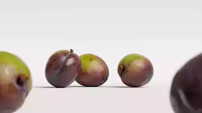 Plum 