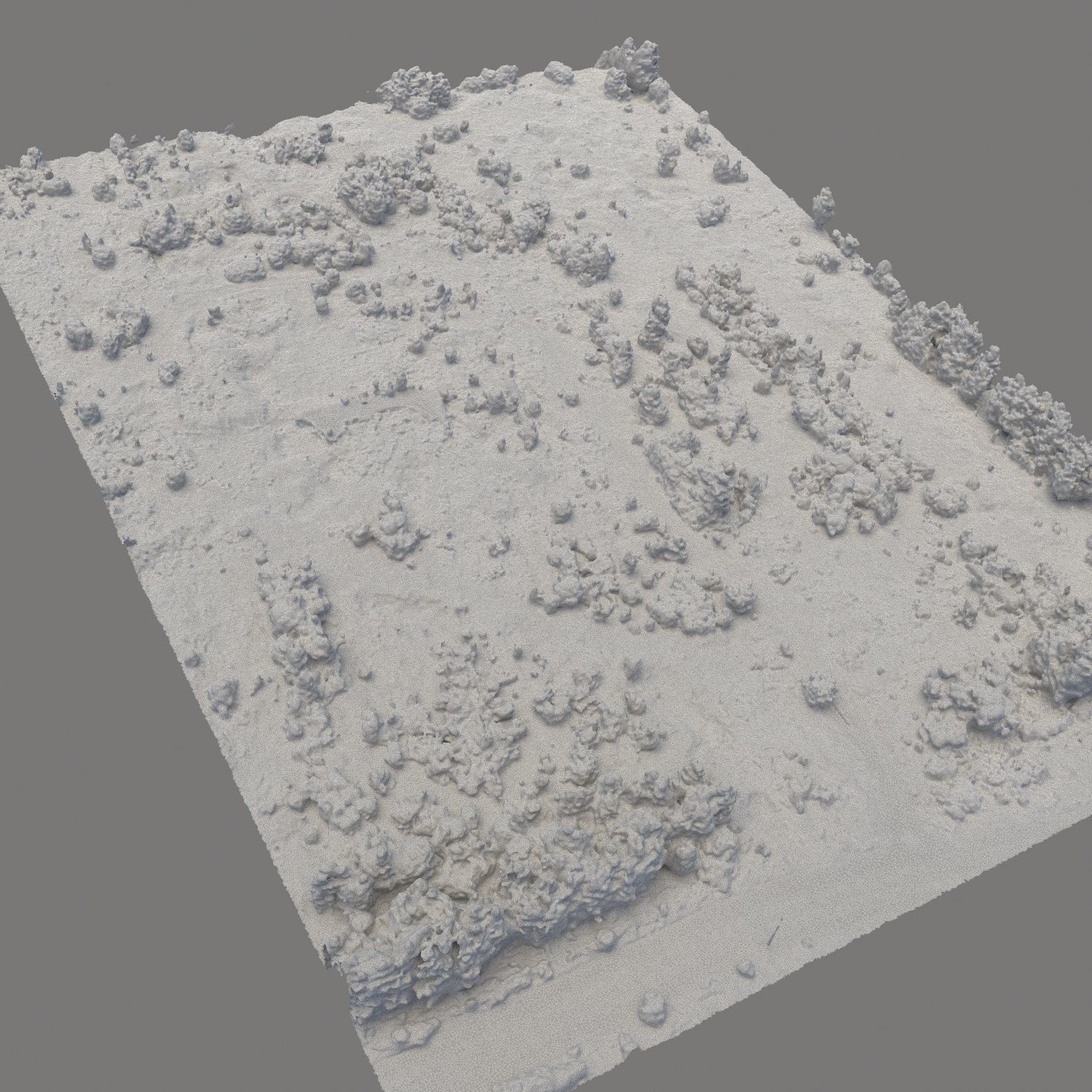 Aerial scan 60 Texture_4