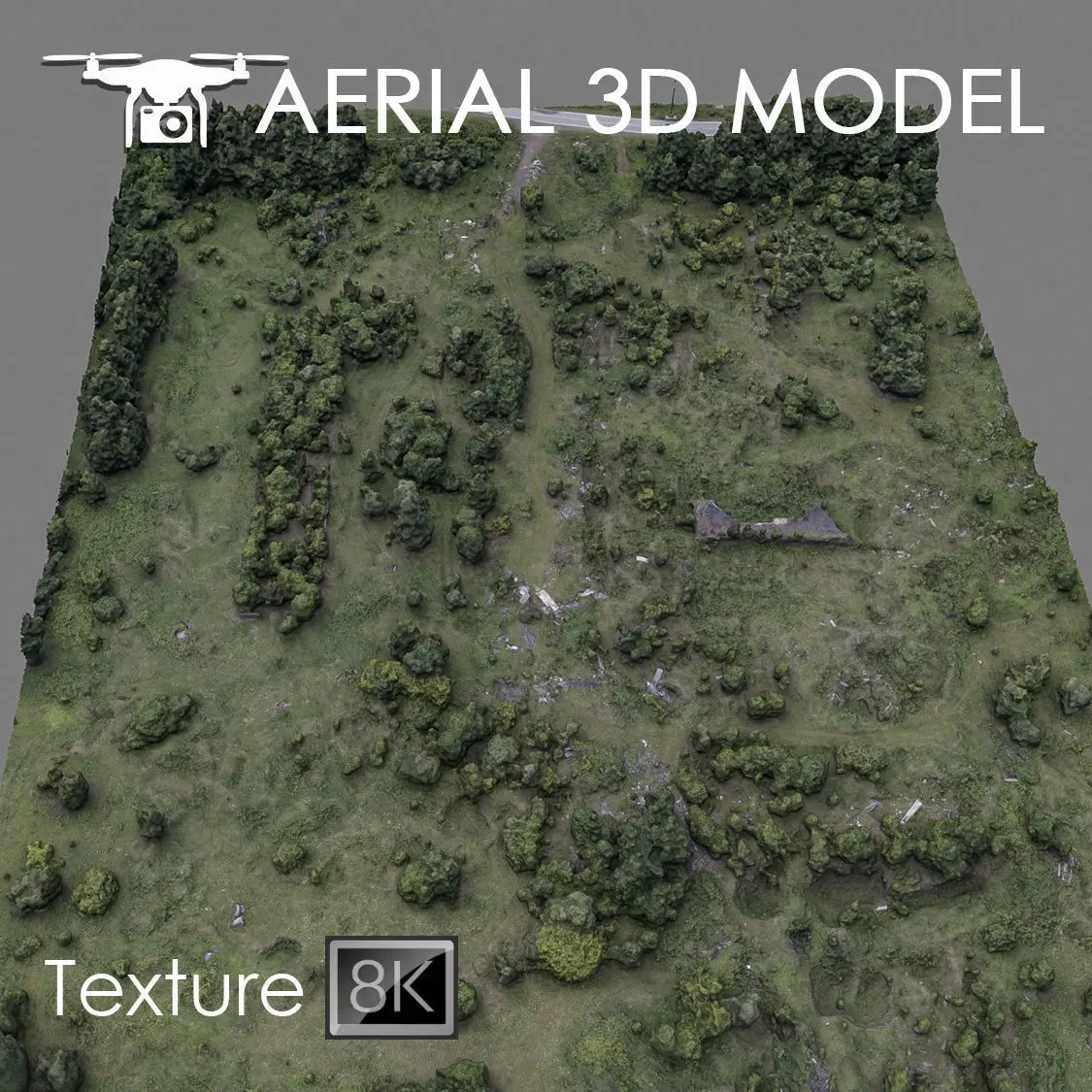 Aerial scan 60 Texture_0