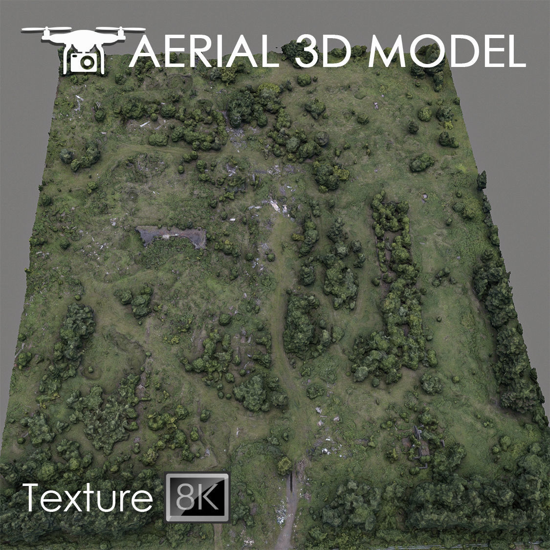 Aerial scan 60 Texture_1