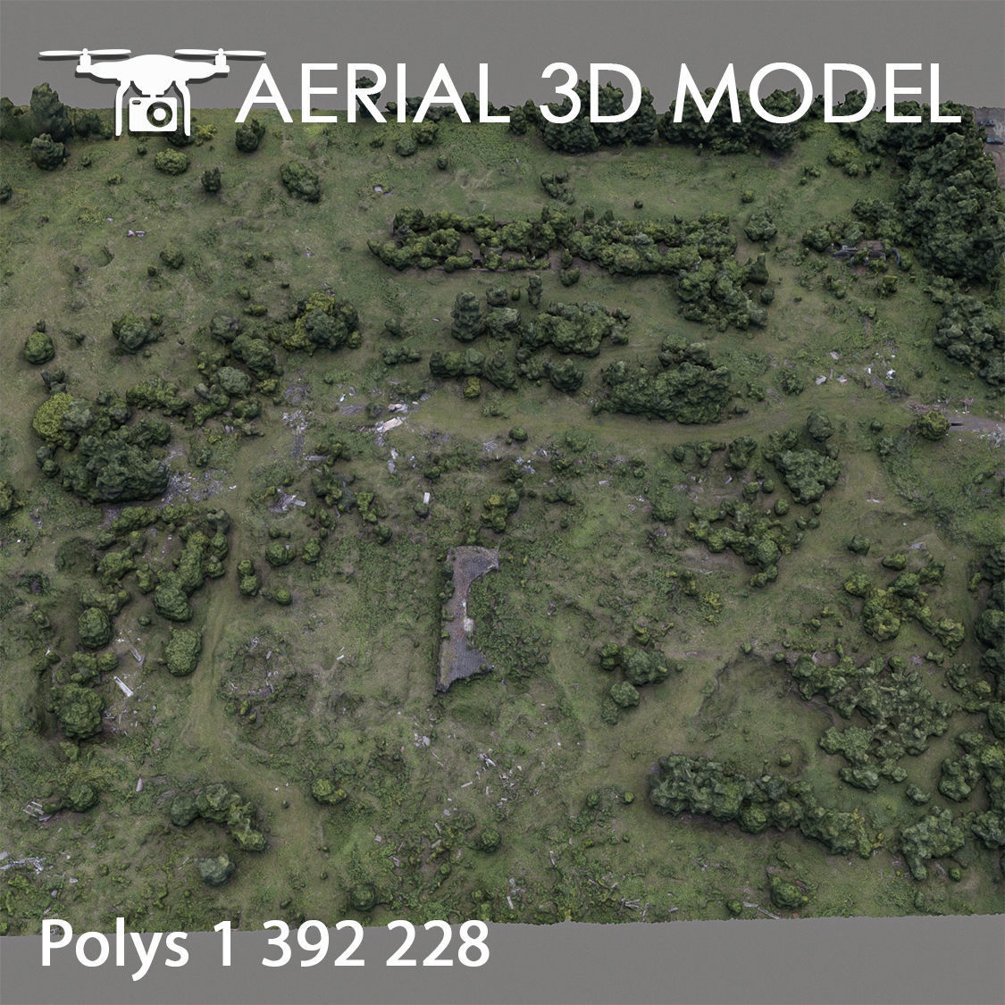 Aerial scan 60 Texture_3