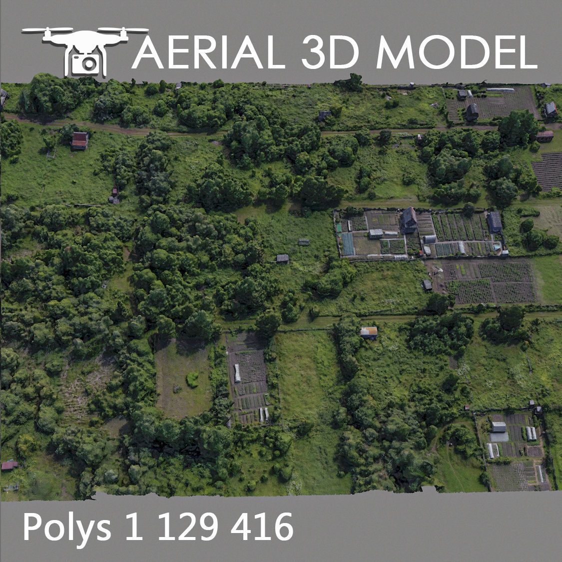 Aerial scan 53 Texture_3