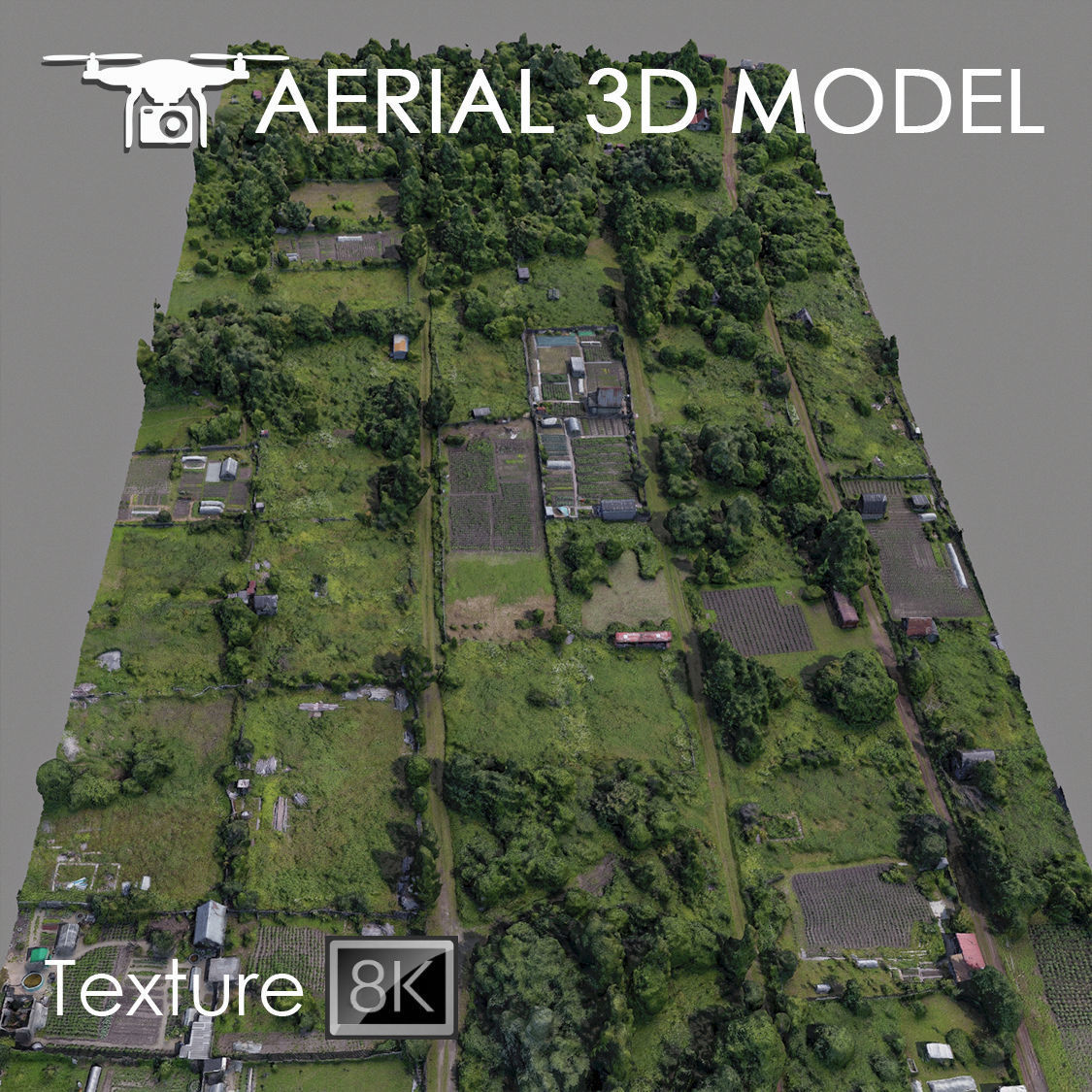 Aerial scan 53 Texture_1