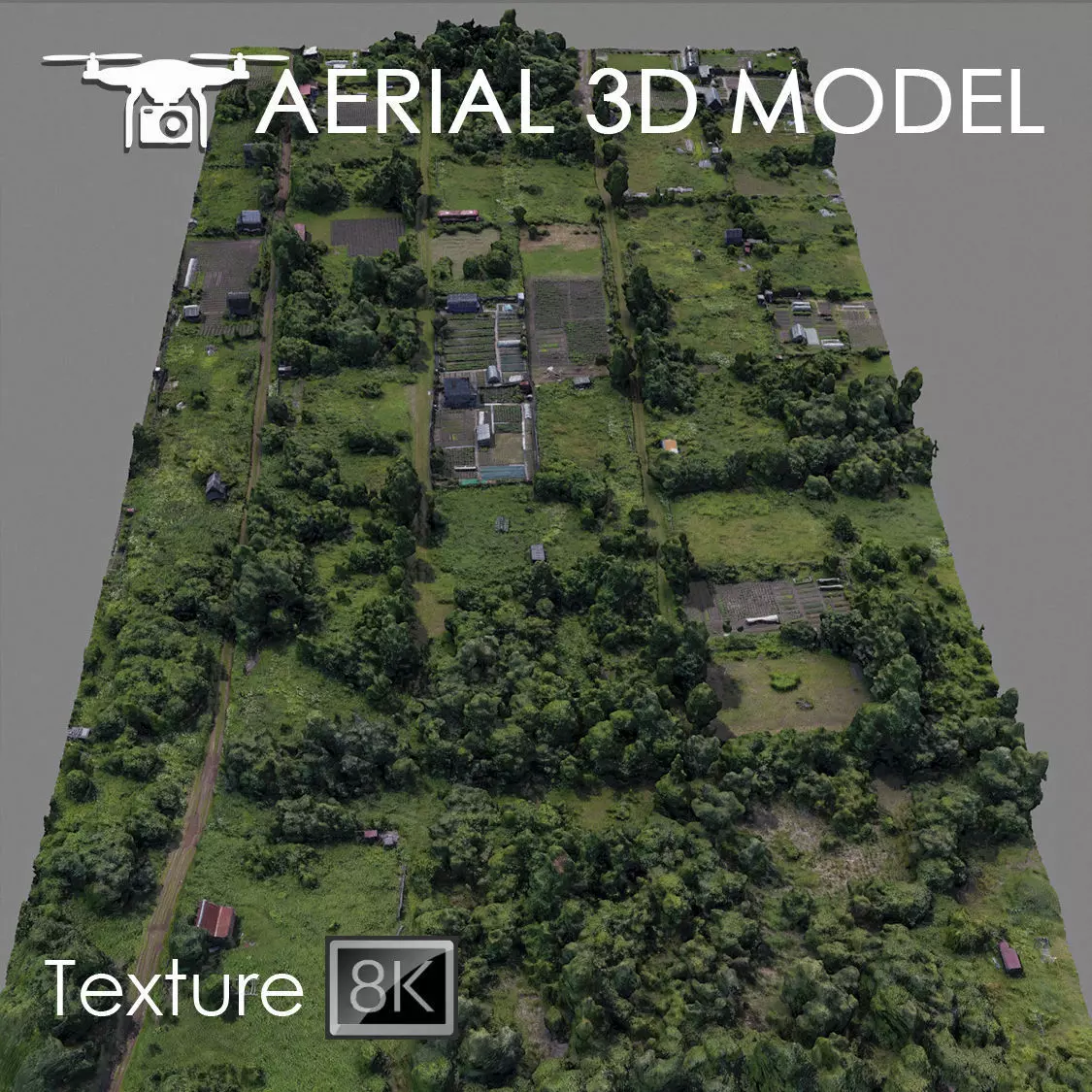 Aerial scan 53 Texture_0