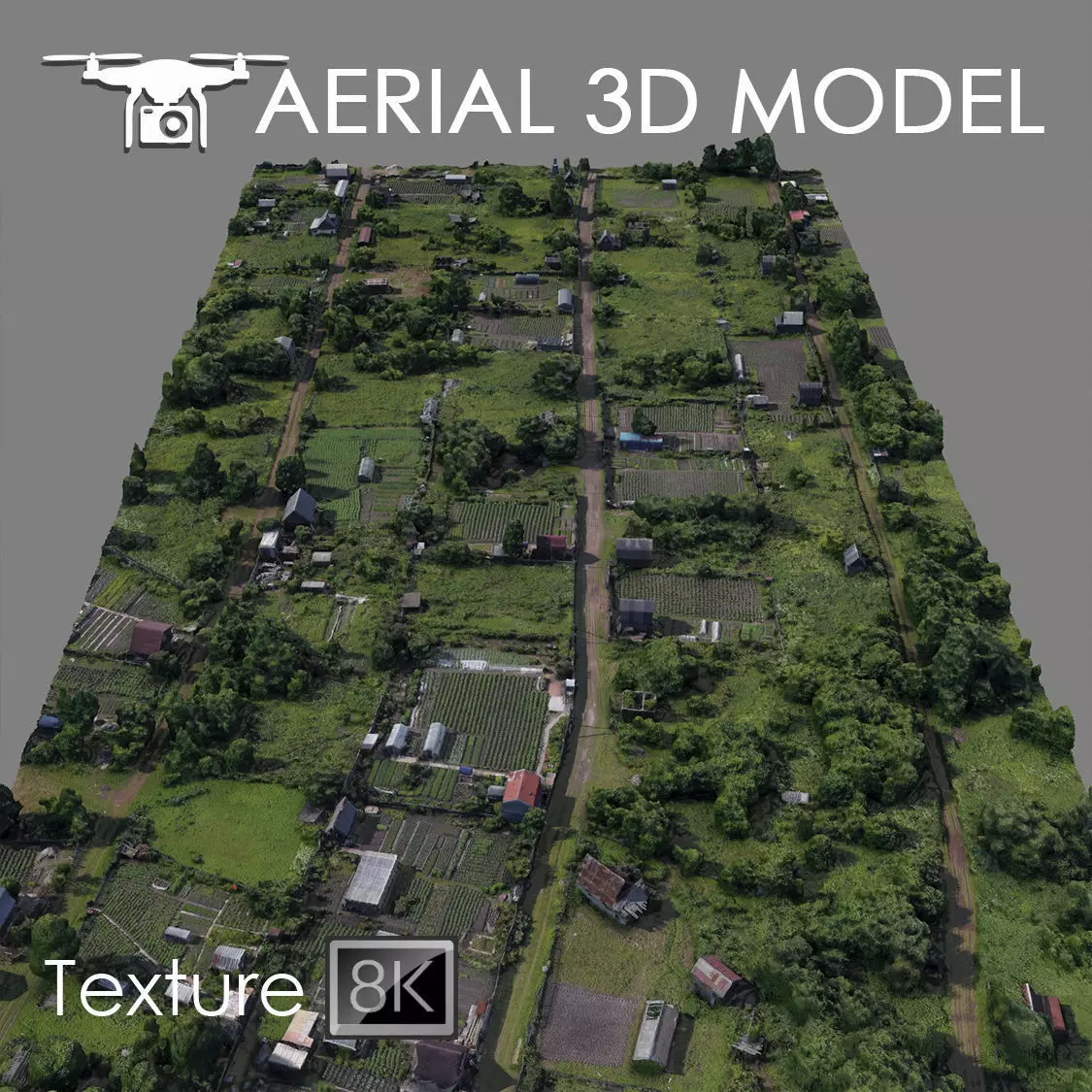 Aerial scan 51 Texture_0