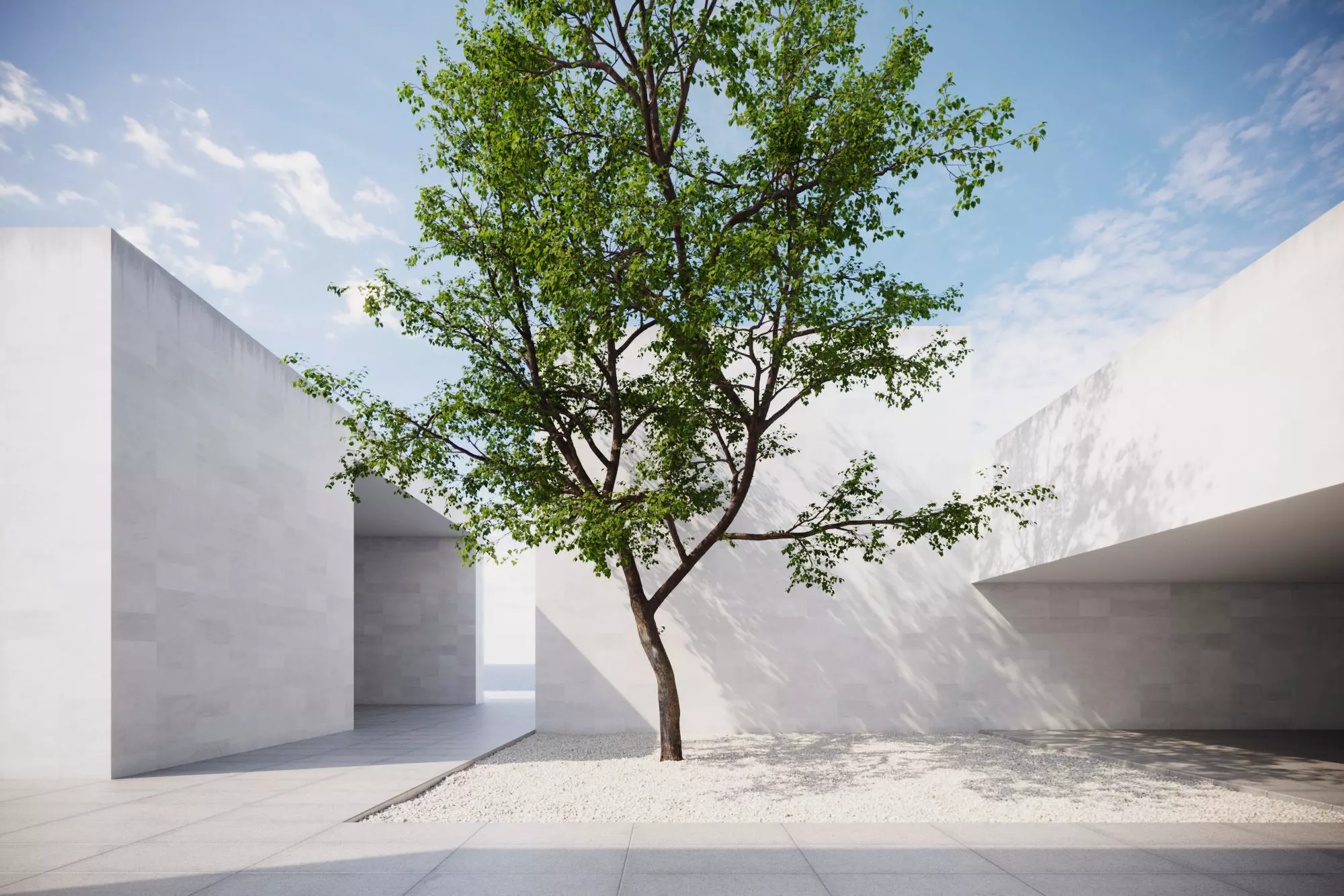 Natural forest tree 3D model_0