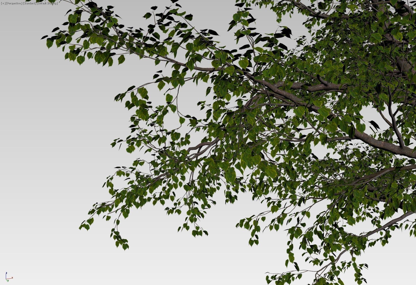 Natural forest tree 3D model_6