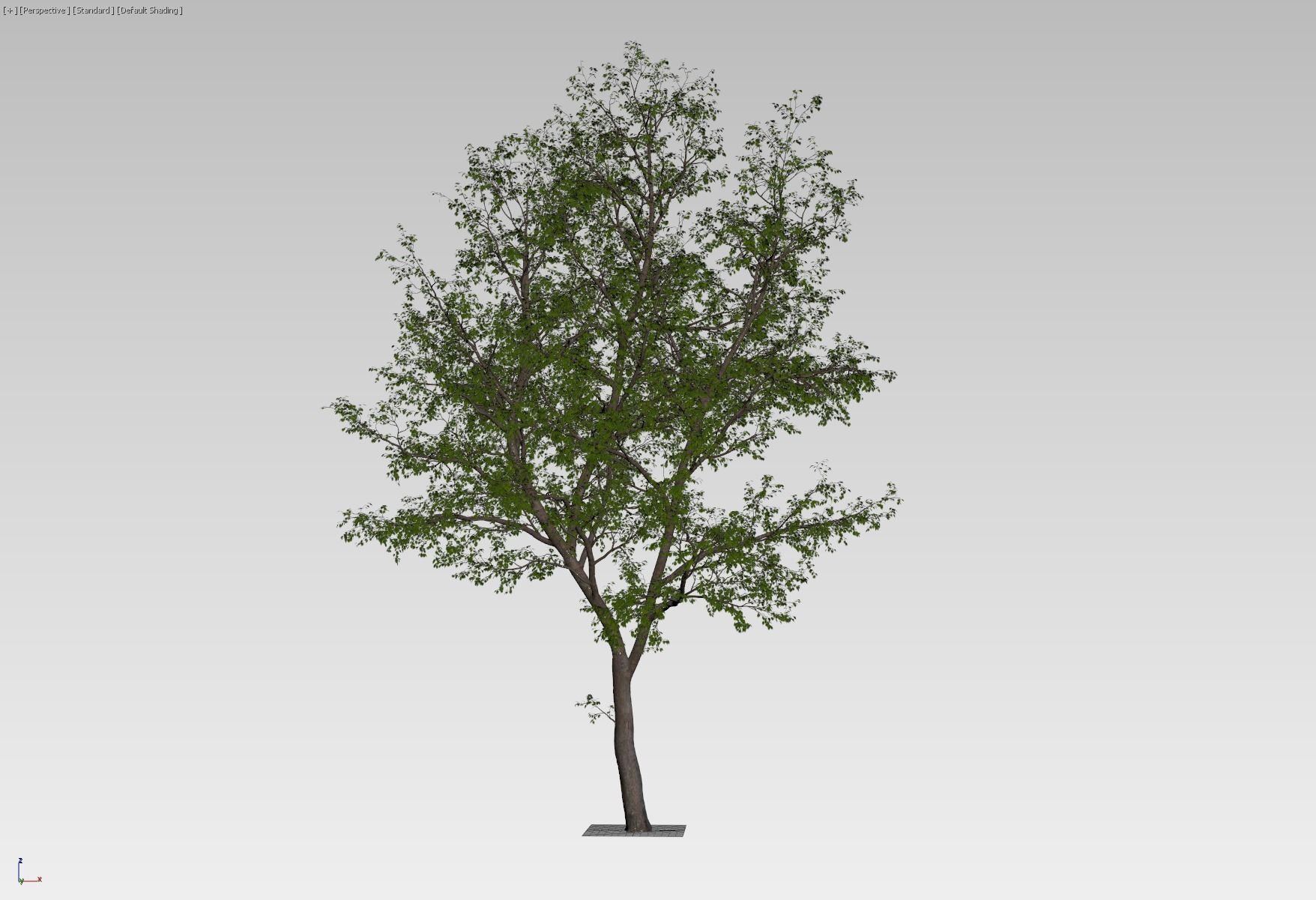 Forest tree 3D model_9
