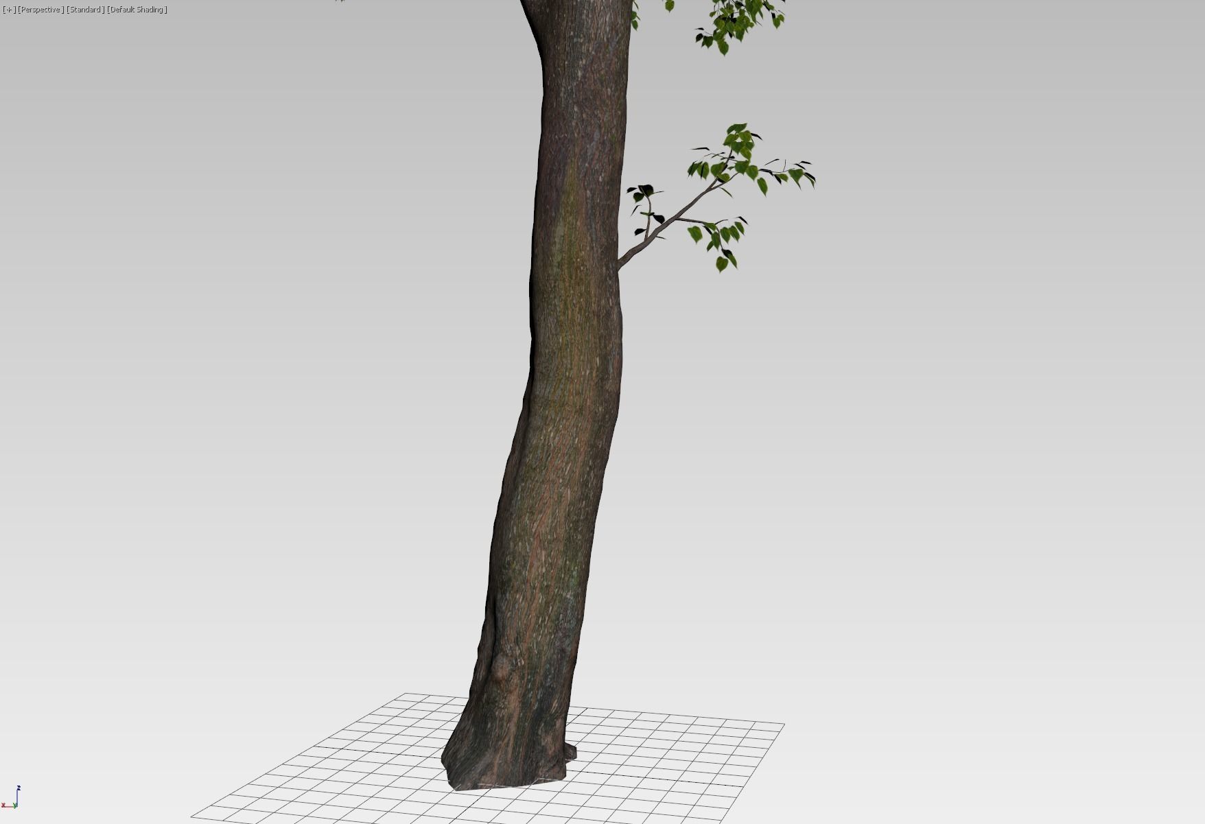 Forest tree 3D model_4