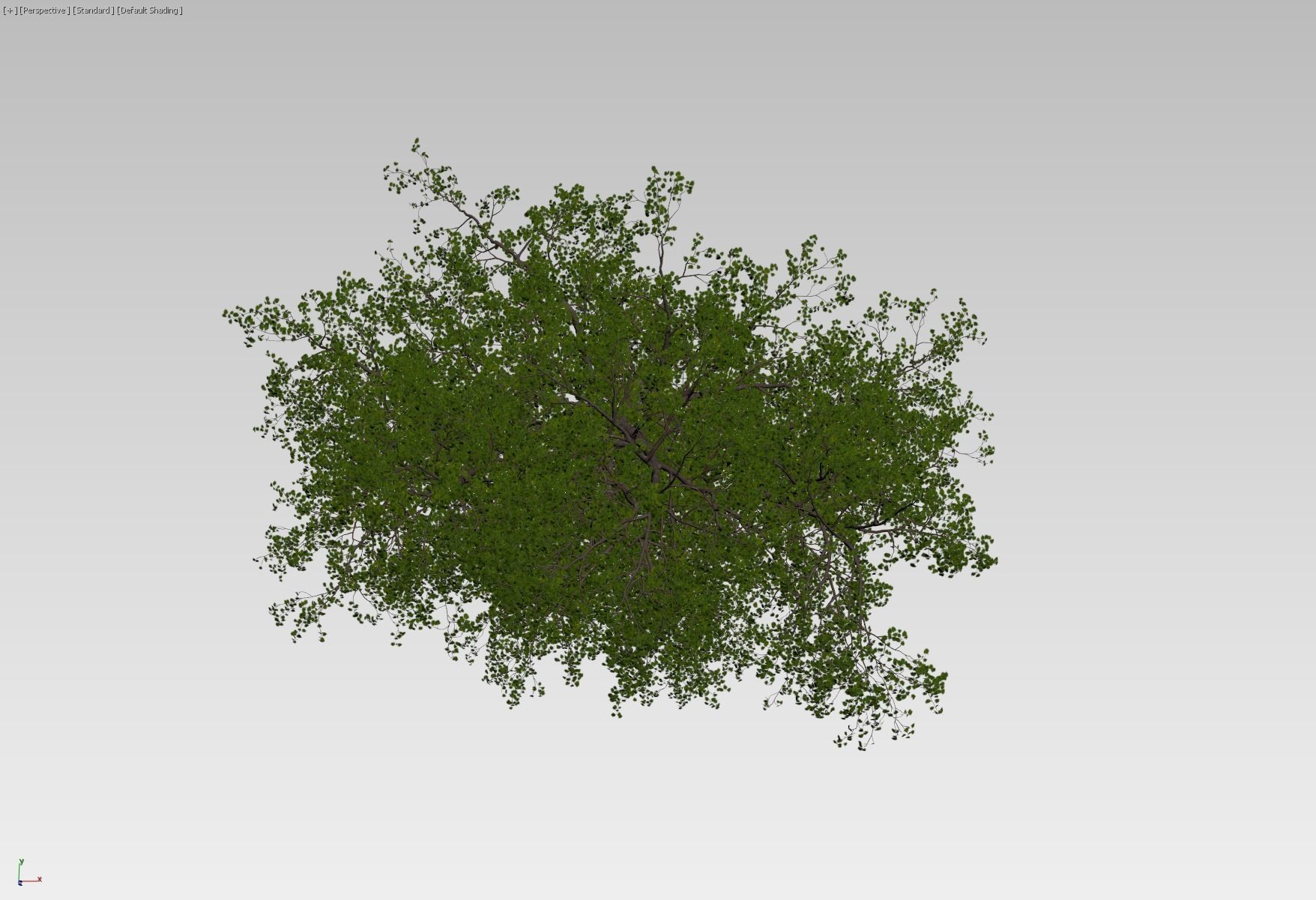 Forest tree 3D model_8