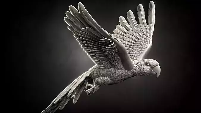 parrot flying in air