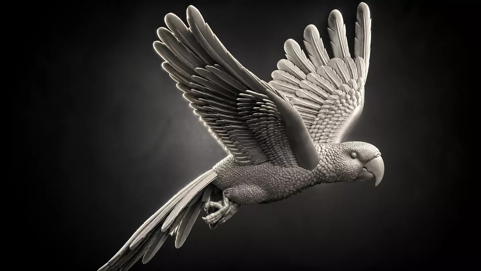 parrot flying in air 3D print model